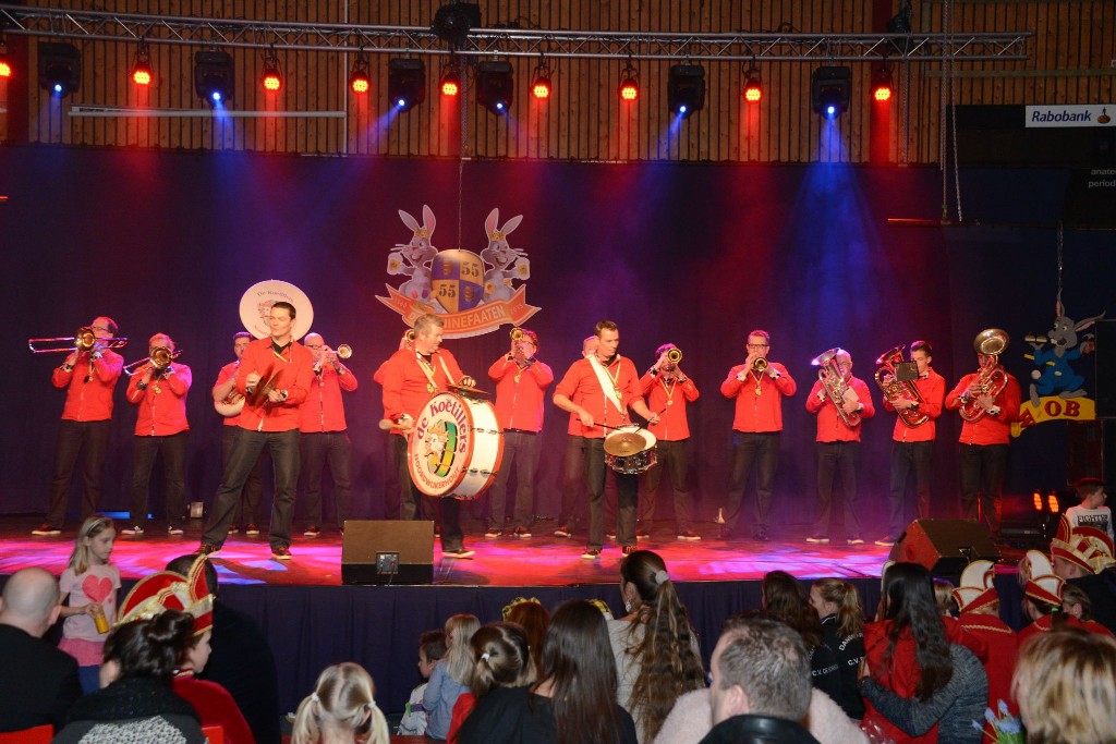 ../Images/Dansmarieke festival 2015 480.jpg